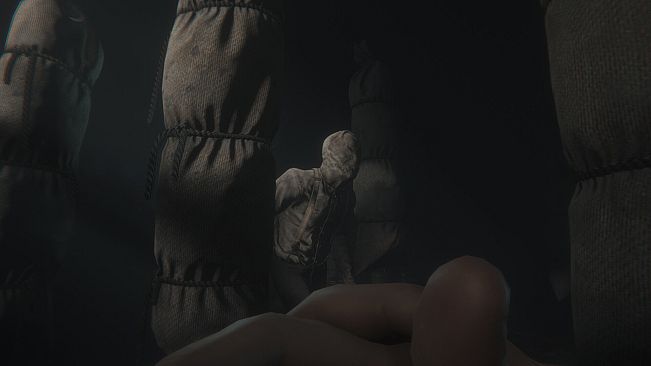 Maid of Sker VR