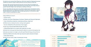 Magical Otoge Iris Development Art Book