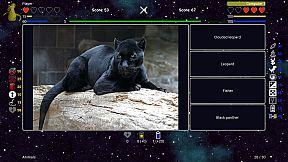 I've Seen Everything