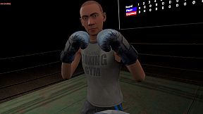 True Boxing VR