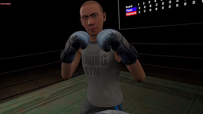 True Boxing VR