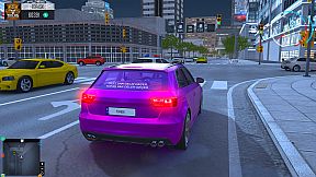 Tofas Sahin: Online Car Driving