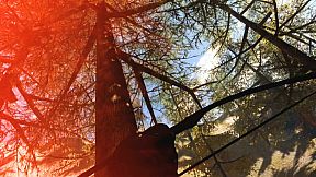 三国虎将传VR2-Sanguo Warriors VR2