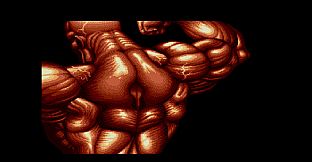 Cho Aniki Collection