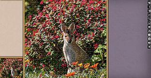 Jigsaw Puzzle Pack - Pixel Puzzles Ultimate: Variety Pack 17