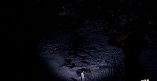 Wraith Rage: A Shadow's Choice