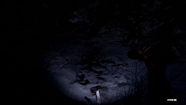 Wraith Rage: A Shadow's Choice