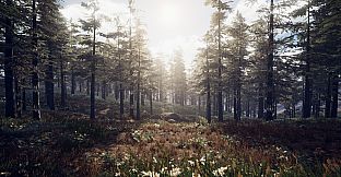 PROJECT D : Human Risen