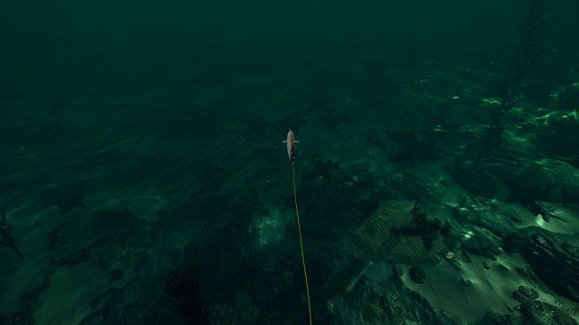 Ultimate Fishing Simulator - Florida DLC