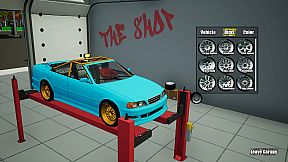 Tristan Cole's Pro Driver