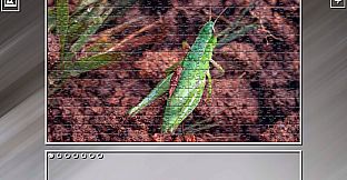 Super Jigsaw Puzzle: Generations - Bugs 2