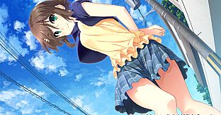 Himawari - The Sunflower -