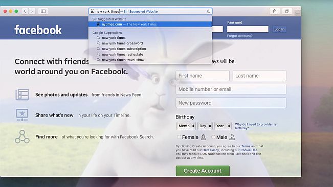 Chameleon Video Player