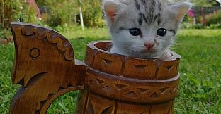 Cute Cats 2 - Digital Artbook + Bonus Videos