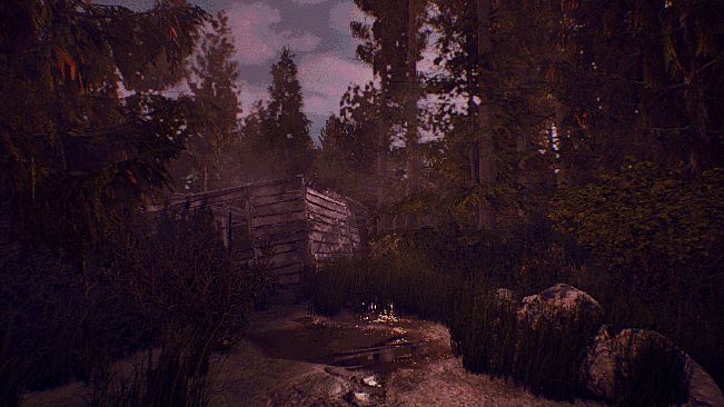 The Watching Woods: The Louse