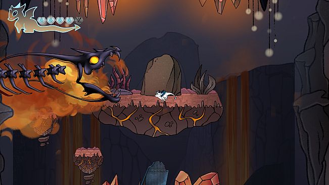 Cats & Dragons