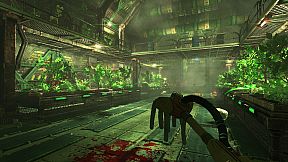 Viscera Cleanup Detail