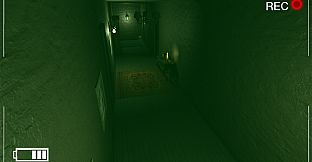 Honey Are You There?