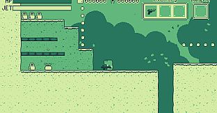 Spotted Garden Eel Adventure