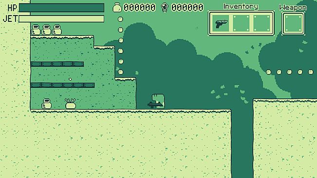 Spotted Garden Eel Adventure