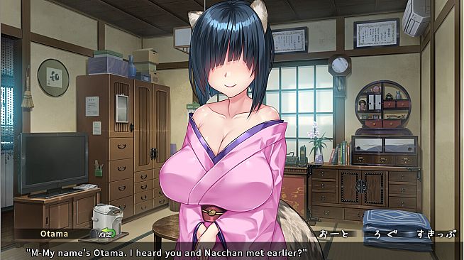 The Kinky Kitsune and The Tantalizing Tanuki