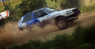 DiRT Rally 2.0 (Windows)
