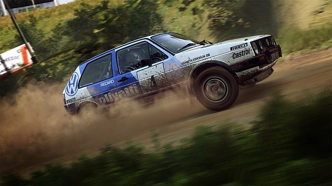 DiRT Rally 2.0 (Windows)