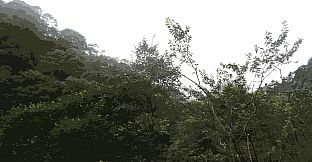 A NIGHTMARE'S TRIP - CARRY-ON PACKAGE BONUSES