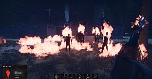 Road of a Survivor