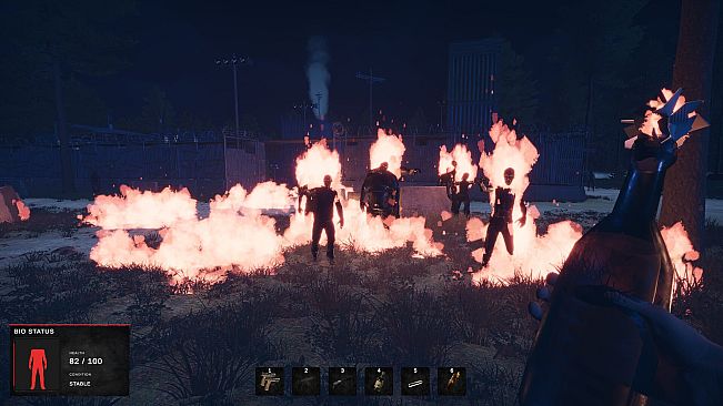 Road of a Survivor