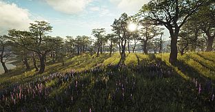 theHunter: Call of the Wild - Parque Fernando