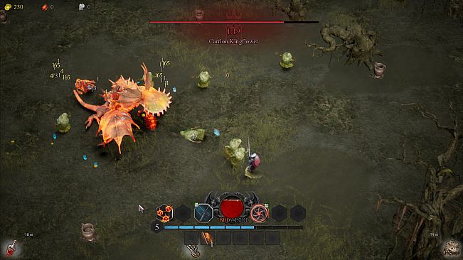 Order of Beast