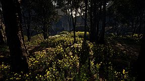 Dwellink: War of the Nine