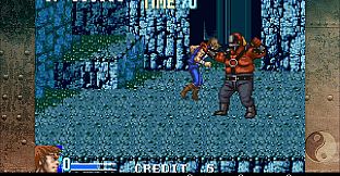 DoubleDragon Advance
