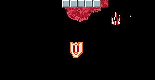 The Tower Of TigerQiuQiu 2 Space Force M6