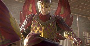 DYNASTY WARRIORS 9 Empires - Unisex Custom Vermilion Bird Armor Set