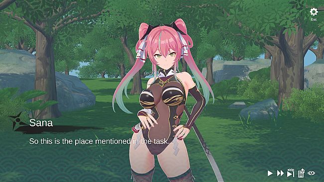 Ninpō! ~Shinobi Journey~