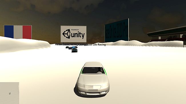 Race On Ice 2020 Pro