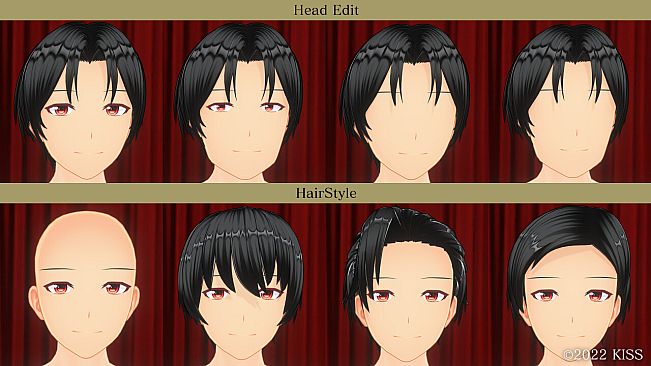 CUSTOM ORDER MAID 3D2.5+X0 with Kiss Character Edit System