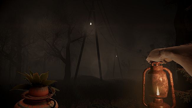The Curse of Ooty