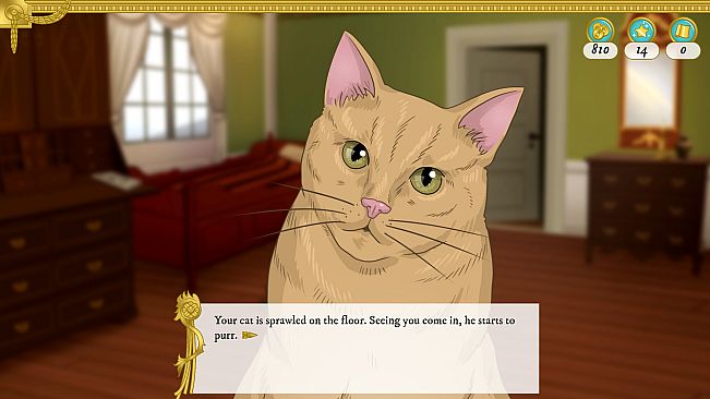 The Widow's Boutique