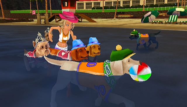 Jerry Rice & Nitus' Dog Football