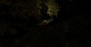 The Rallying Ball