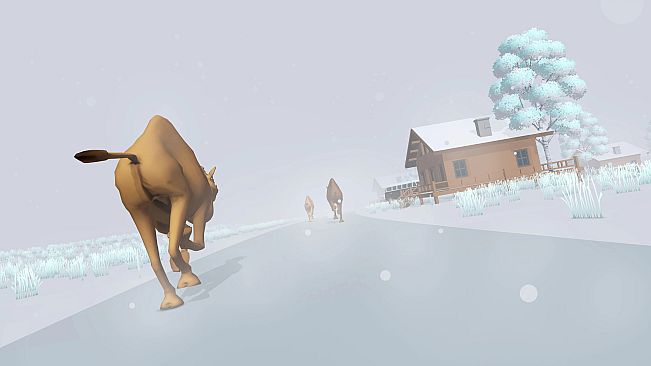 SANDSPEED: CAMEL RACING