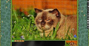 Jigsaw Puzzle Pack - Pixel Puzzles Ultimate: Cats 2