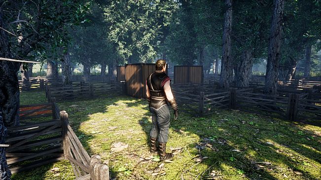 BOXIT Map Forest