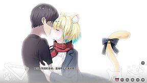 Neko Diary 猫愿日记