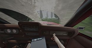 Rally with a Friend