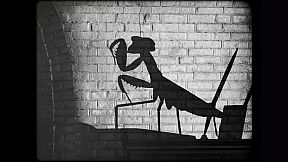 Cat Detective Albert Wilde