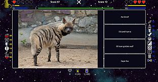 I've Seen Everything - Season Pass